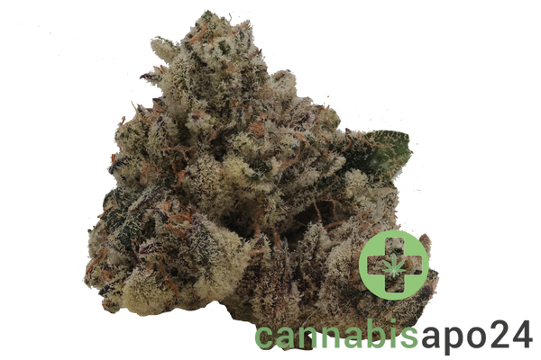 Botanics Purple Cream 26/1