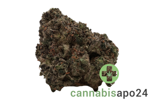 Craft Botanics 20/1 Velvet Twister - Candy Cartel
