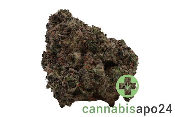 Craft Botanics 20/1 Velvet Twister - Candy Cartel