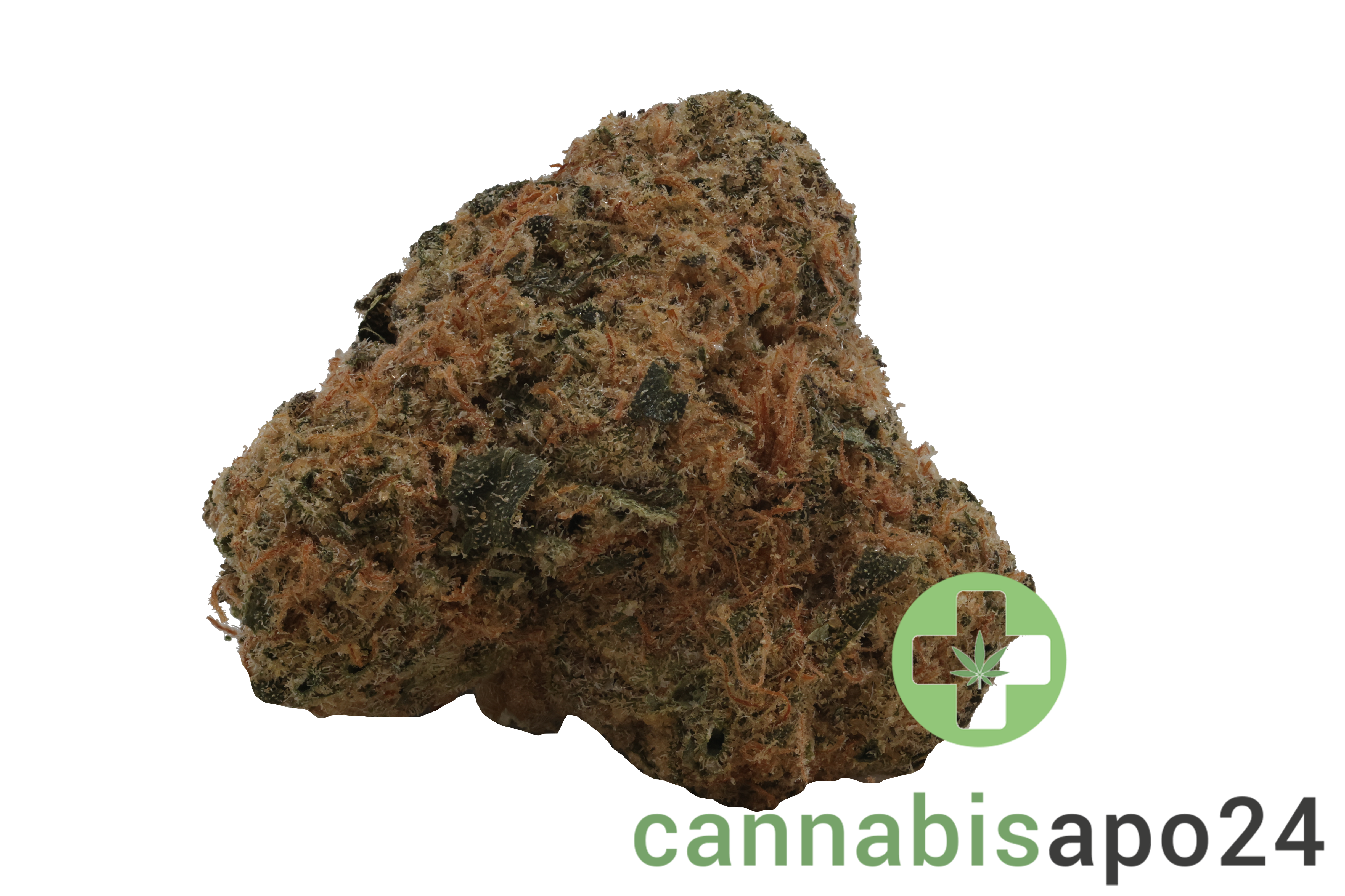 Buuo 28/1 BC Blue Cheese