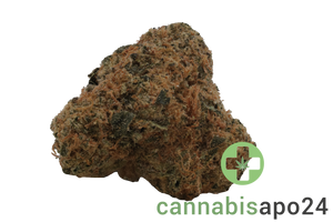 Buuo 28/1 BC Blue Cheese