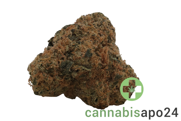 Buuo 28/1 BC Blue Cheese