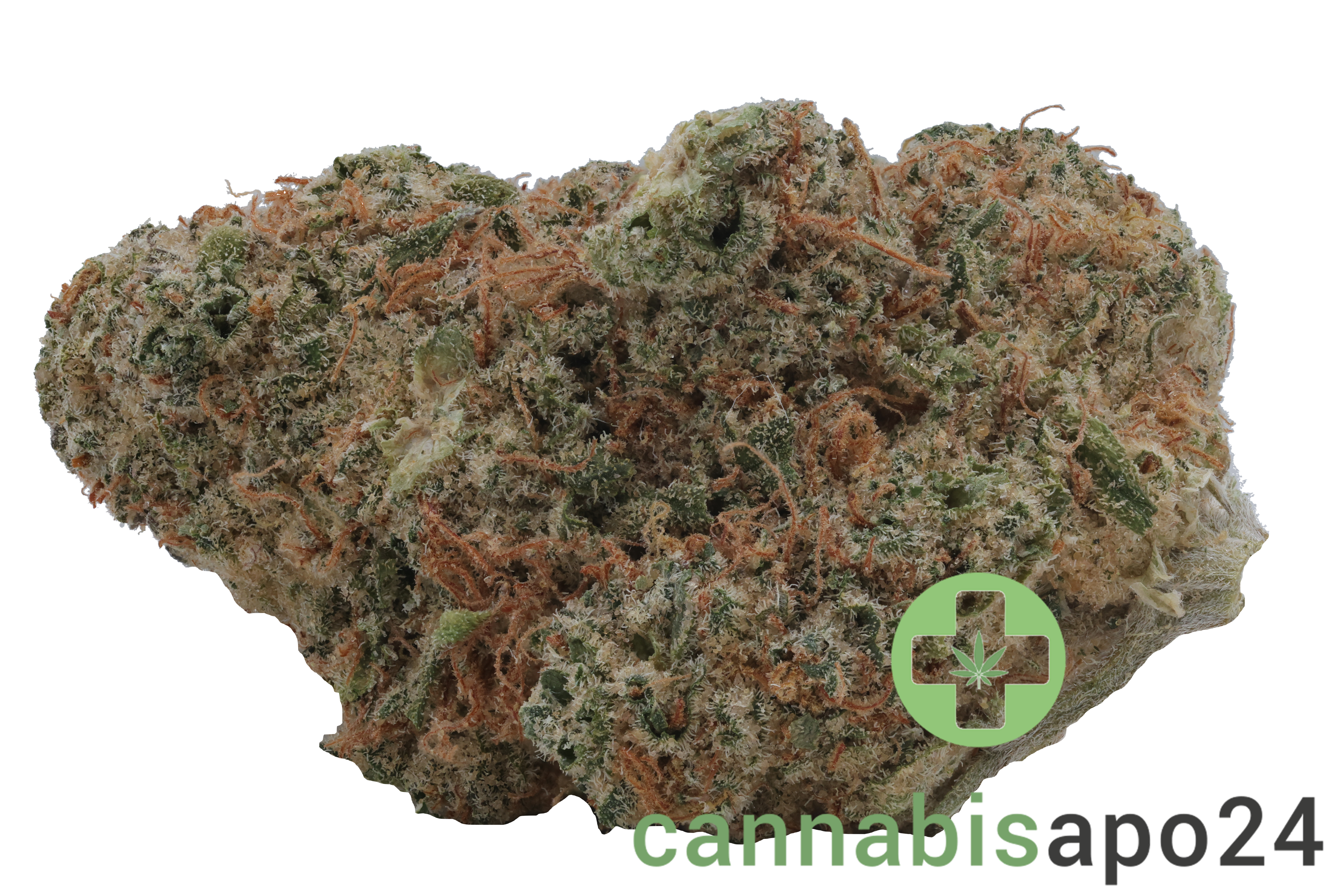 Buuo 30/1 KBP Dragon Berry Kush