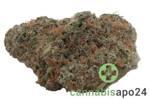 Buuo 30/1 KBP Dragon Berry Kush