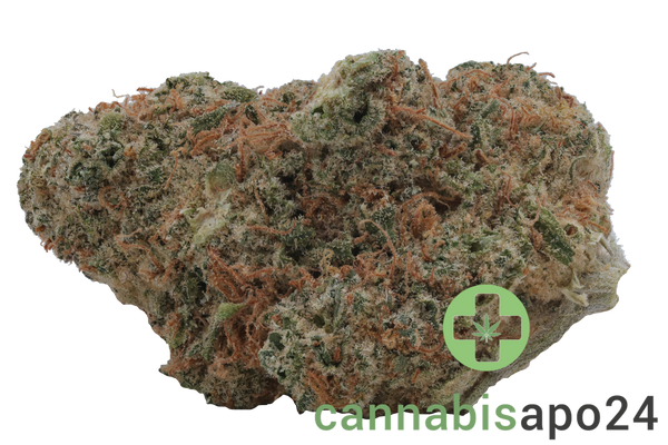 Buuo 30/1 KBP Dragon Berry Kush