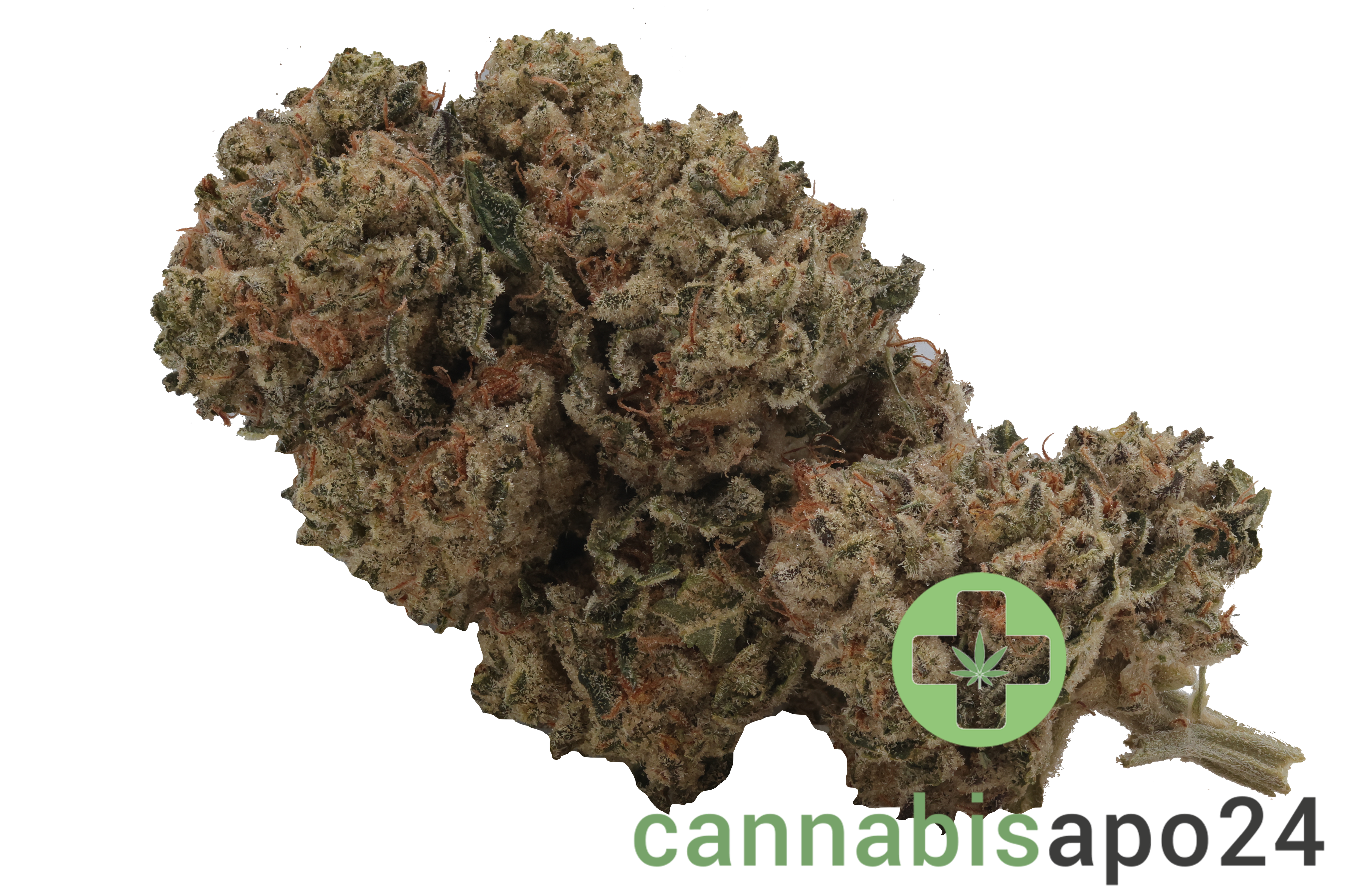 Cannabis flos 28/1 CSF Ku. Cape Venin