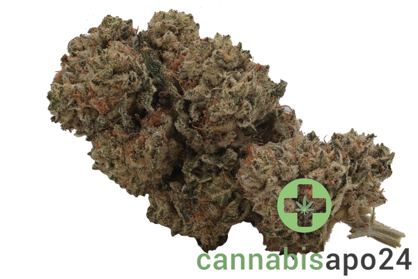 Cannabis flos 28/1 CSF Ku. Cape Venin