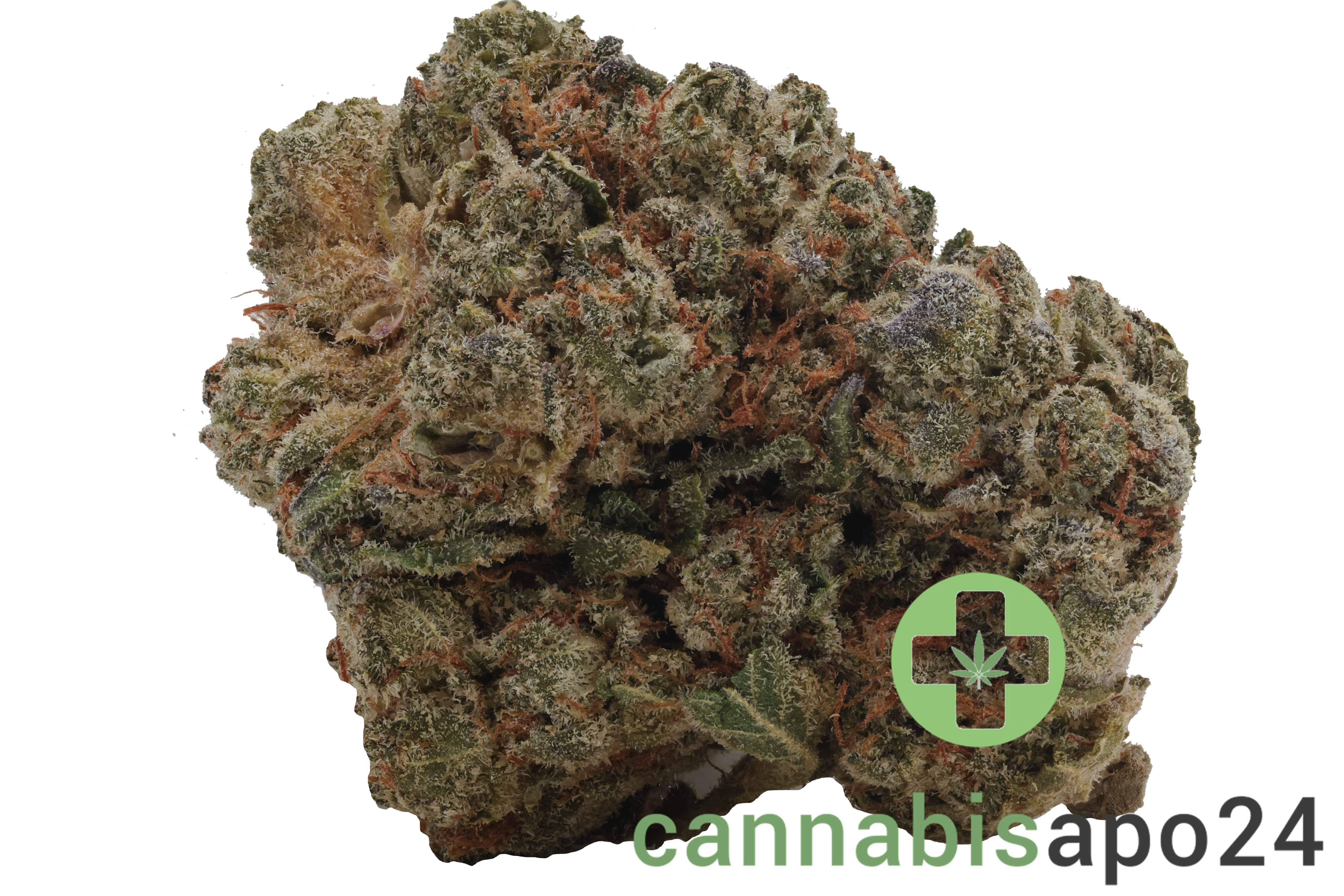 Cannabis flos 28/1 CSF Ku. Solpina Magic