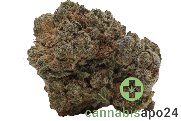 Cannabis flos 28/1 CSF Ku. Solpina Magic
