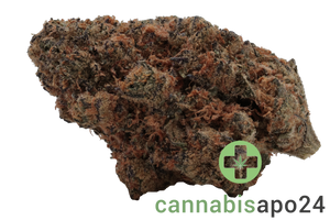 Canify Flos 27/1 CAD Ku. Frosted Cookies