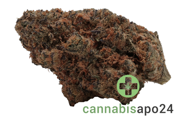 Canify Flos 27/1 CAD Ku. Frosted Cookies