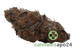 Cannabis flos 27/1 CDA Ku. Flapjacks