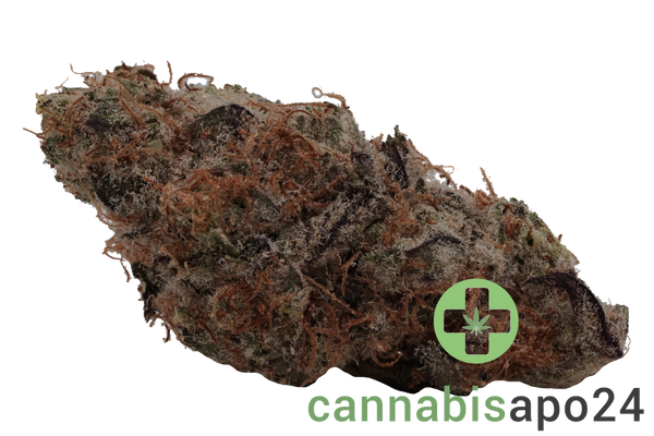 Cannabis flos 27/1 CDA Ku. Flapjacks