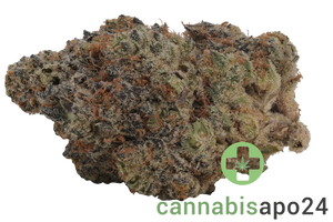 Cannabis flos 27/1 CGD Ku. Cream Cake