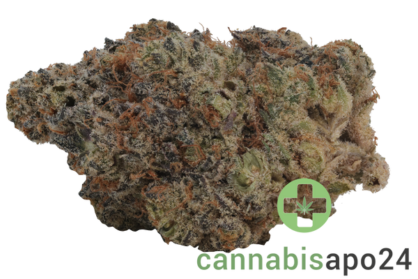 Cannabis flos 27/1 CGD Ku. Cream Cake