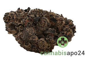 Cannabis flos 30/1 CNDA Ku. Purple Churro