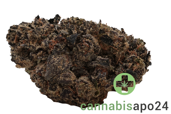 Cannabis flos 30/1 CNDA Ku. Purple Churro