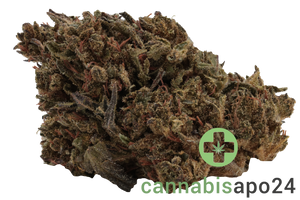 Cannabis flos 8/9 LS Ku. Basotho Even