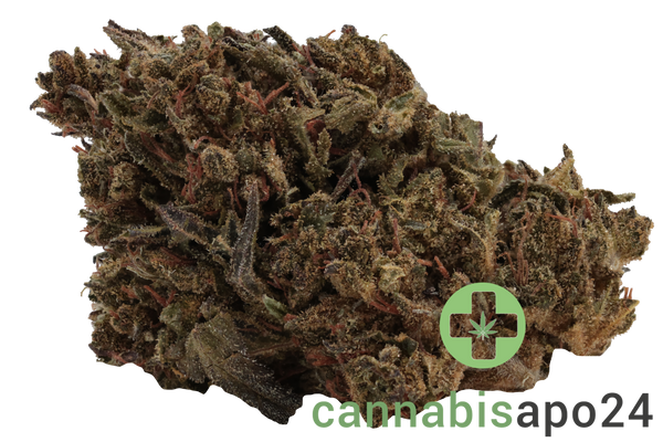 Cannabis flos 8/9 LS Ku. Basotho Even