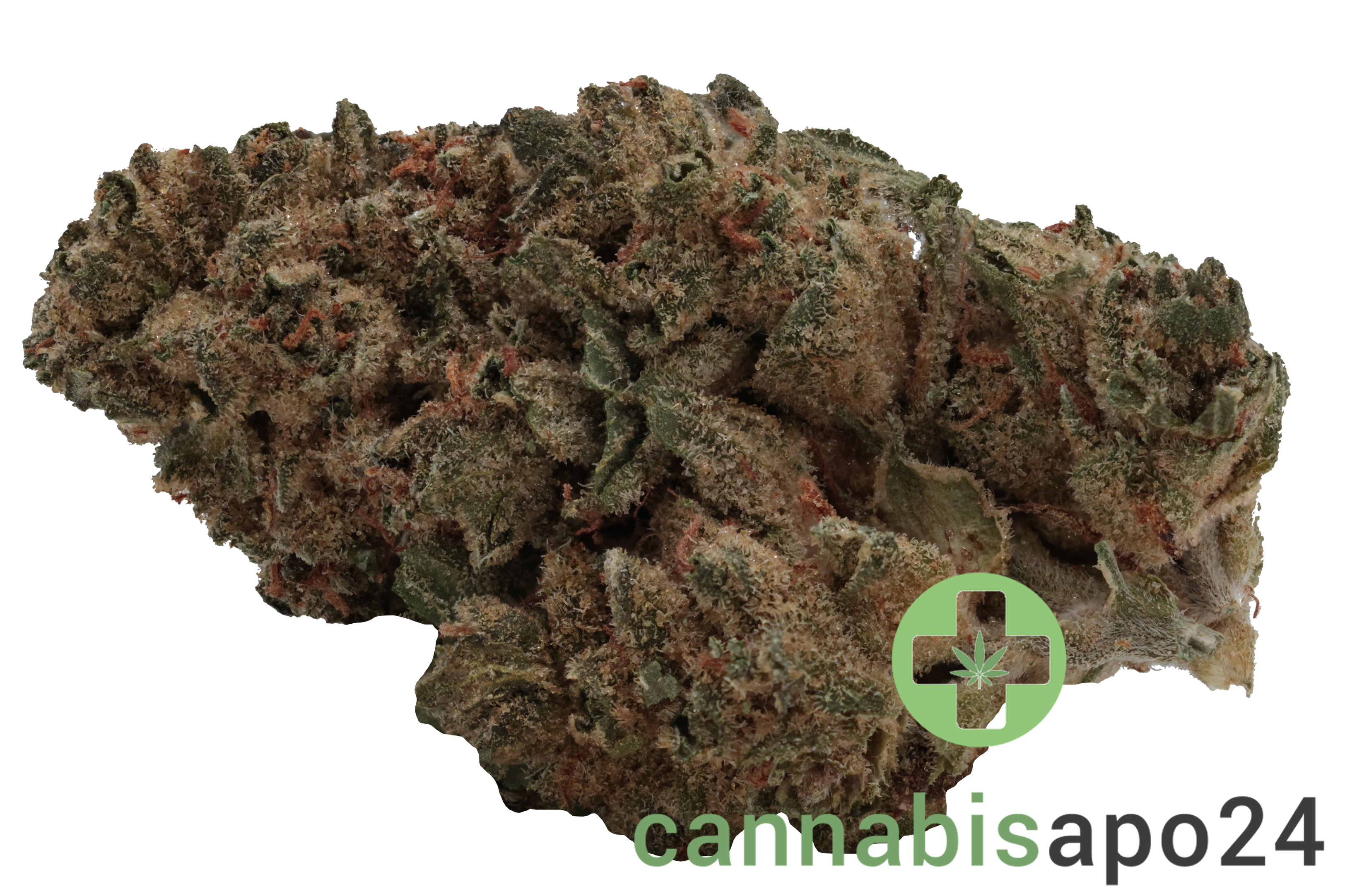 Weeco Dragon 26/1 Big Purple Dragon