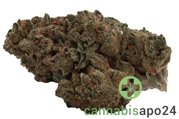 Weeco Dragon 26/1 Big Purple Dragon