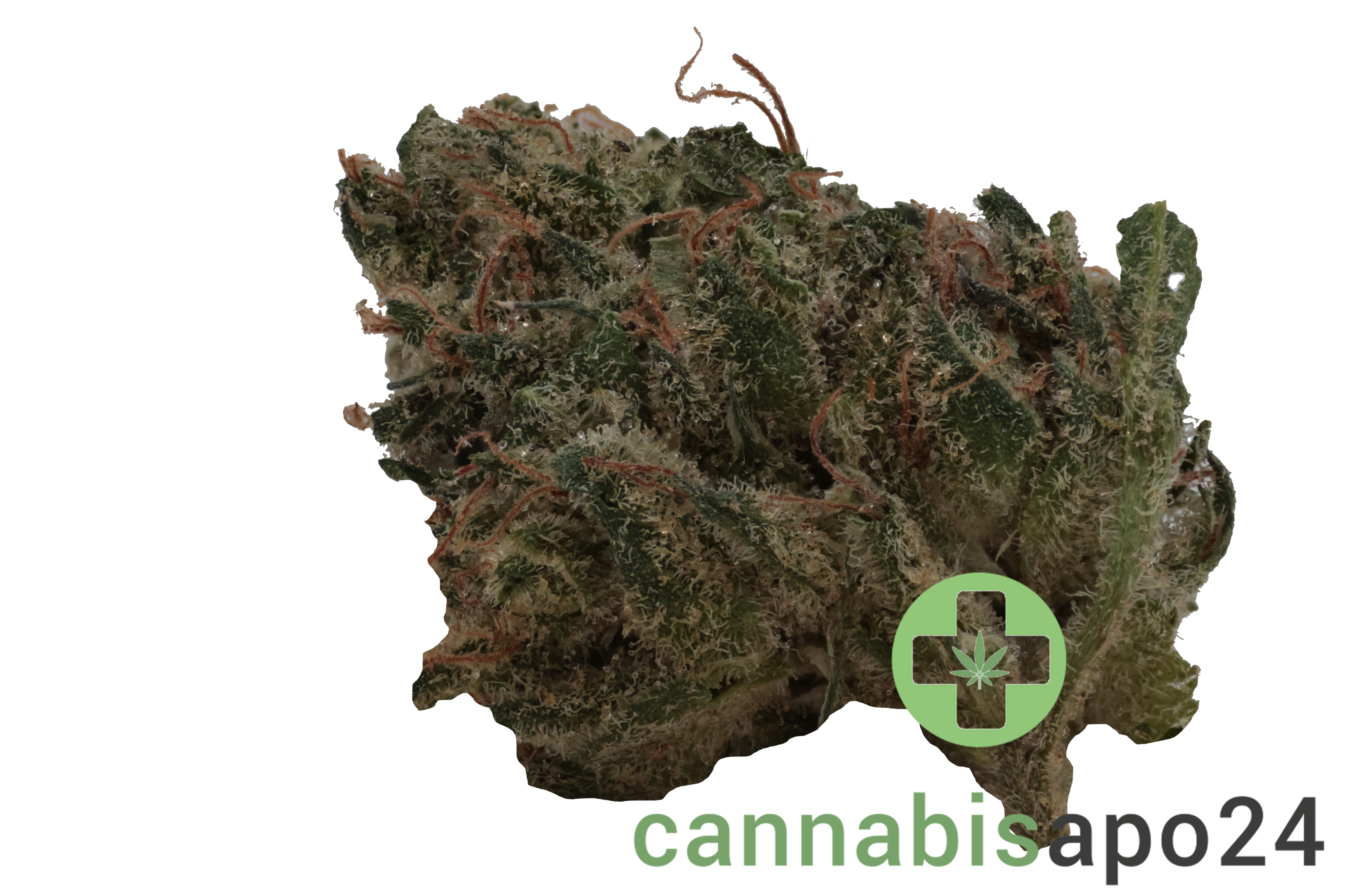 Cannamedical Balanced Ultra AU Libras