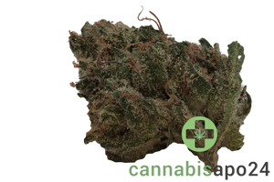 Cannamedical Balanced Ultra AU Libras