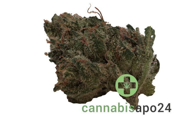 Cannamedical Balanced Ultra AU Libras