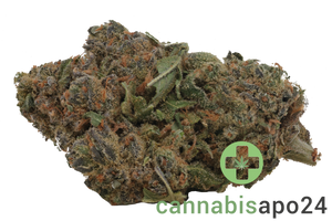 Cannamedical Indica Classic SF Royal Berry
