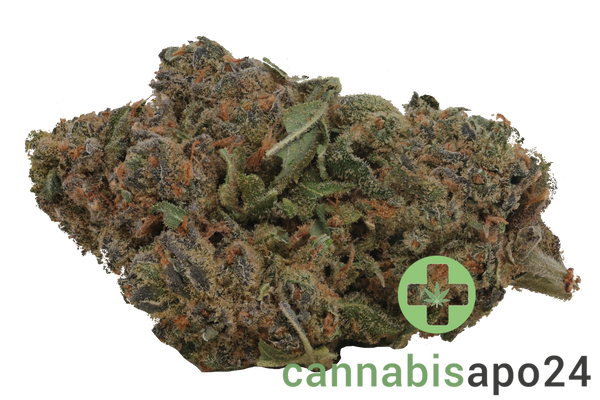 Cannamedical Indica Classic SF Royal Berry