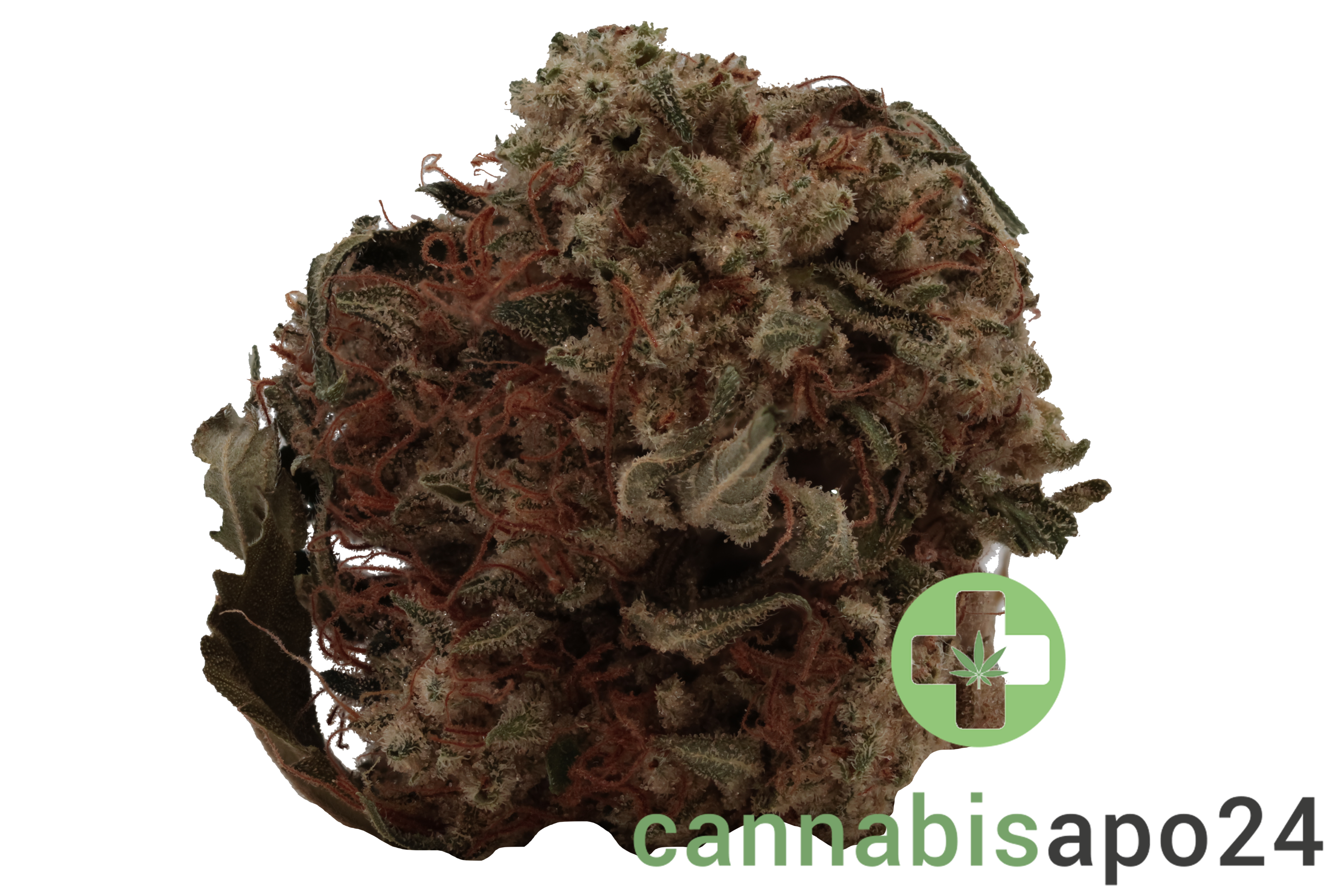 Cannamedical Hybrid classic DK Ghost Train Haze