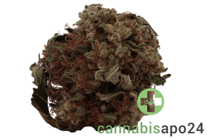 Cannamedical Hybrid classic DK Ghost Train Haze