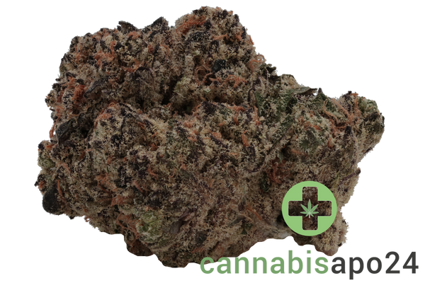 Cannamedical Hybrid Forte SA Blunicorn