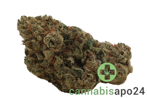 Cannamedical Hybrid forte Gelato Lemon