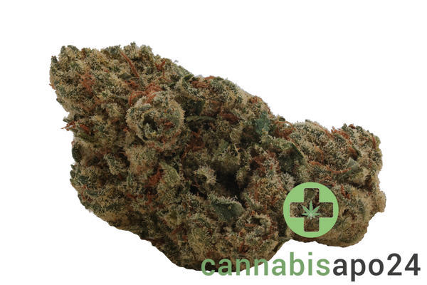 Cannamedical Hybrid forte Gelato Lemon