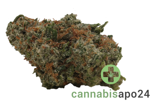Cannamedical Hybrid Ultimate SF Afghan Bubba Kush