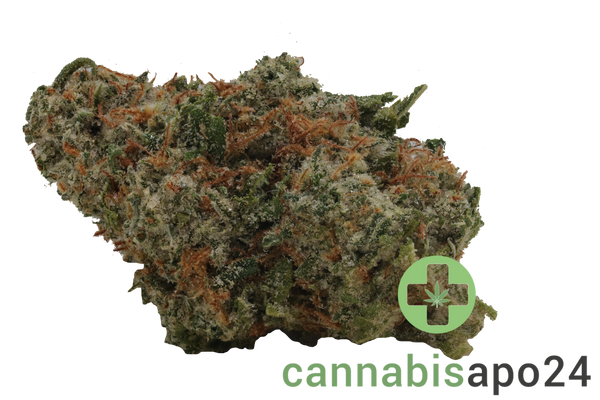 Cannamedical Hybrid Ultimate SF Afghan Bubba Kush