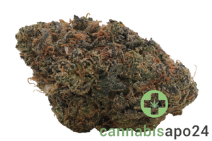 Cannamedical Hybrid Ultra BC Lemon Cookie