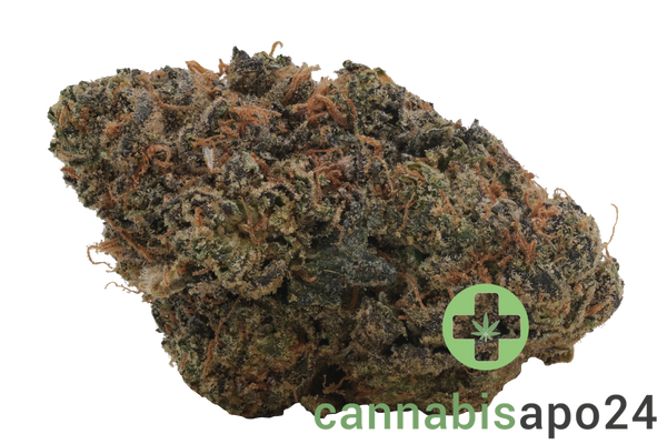Cannamedical Hybrid Ultra BC Lemon Cookie