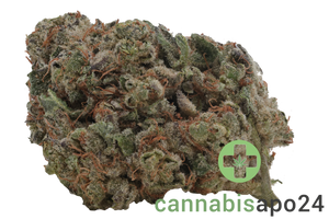 Cannamedical Indica Classic AU London Pound Cake