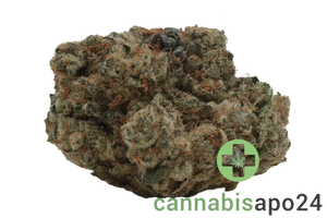 Cannamedical Indica Forte BC Banana Cream Cake