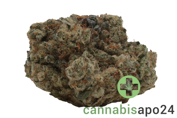 Cannamedical Indica Forte BC Banana Cream Cake