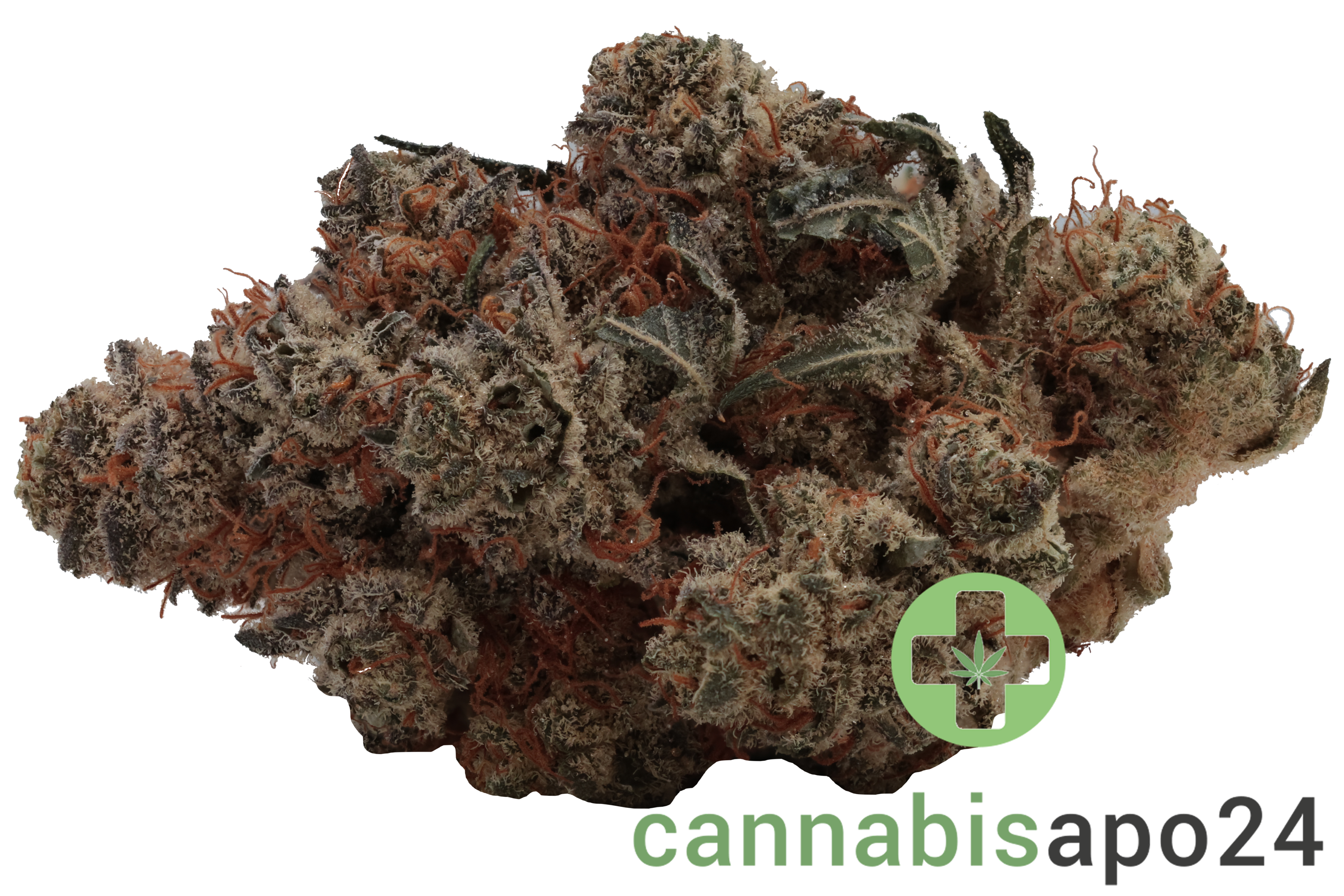 Cannamedical Indica Forte DK Lemon Krash