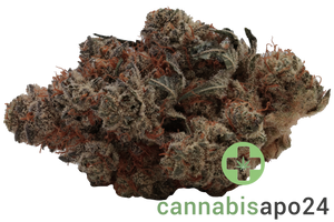 Cannamedical Indica Forte DK Lemon Krash