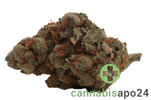 Cannamedical Indica Light ZAF Strawberry Lemonade