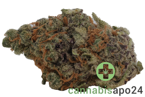 Cannamedical Indica Light ZAF Tropical Cream Cake