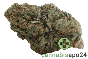 Cannamedical Indica Ultra ES Papaya Boom
