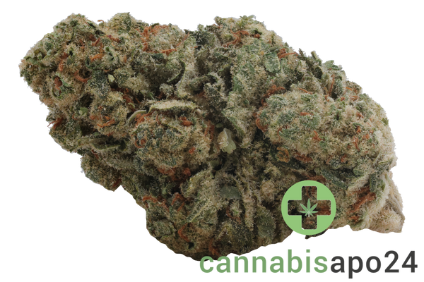 Cannamedical Indica Ultra ES Papaya Boom