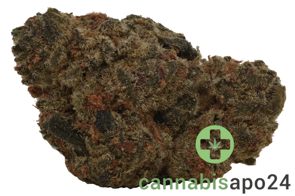 Cannamedical Indica Ultra SM Mintwave