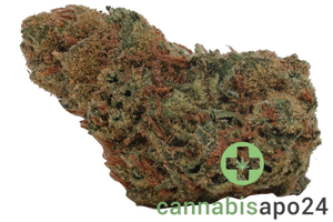Cannamedical Sativa Classic SA Jack Herer